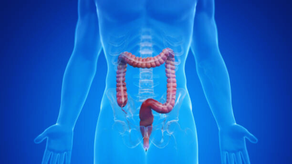 Best Anorectal Disoders Treatment In Kerala